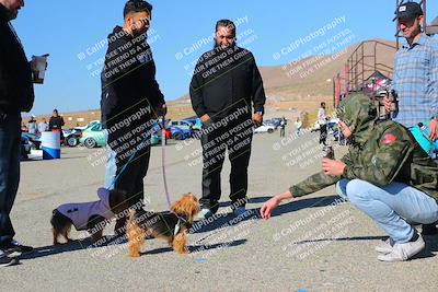 media/Oct-28-2023-Speed Ventures (Sat) [[421672819b]]/Around the Pits/